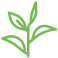 Tea leaf icon